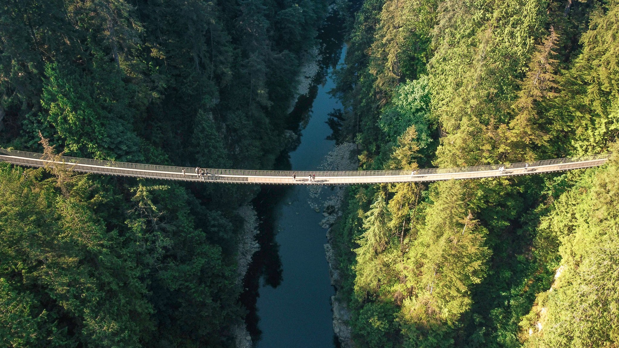 Capilano Suspension Bridge Wallpapers