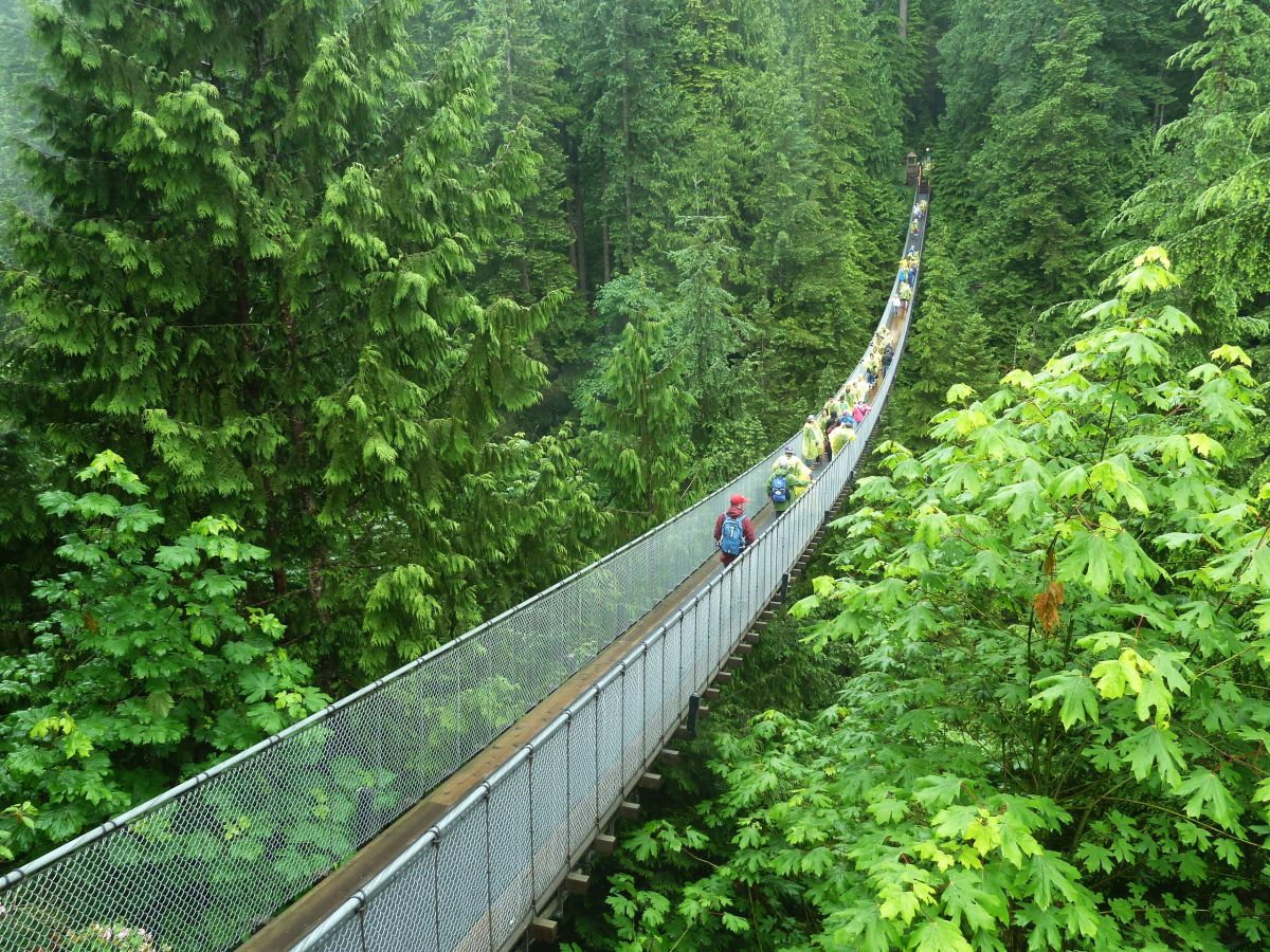 Capilano Suspension Bridge Wallpapers