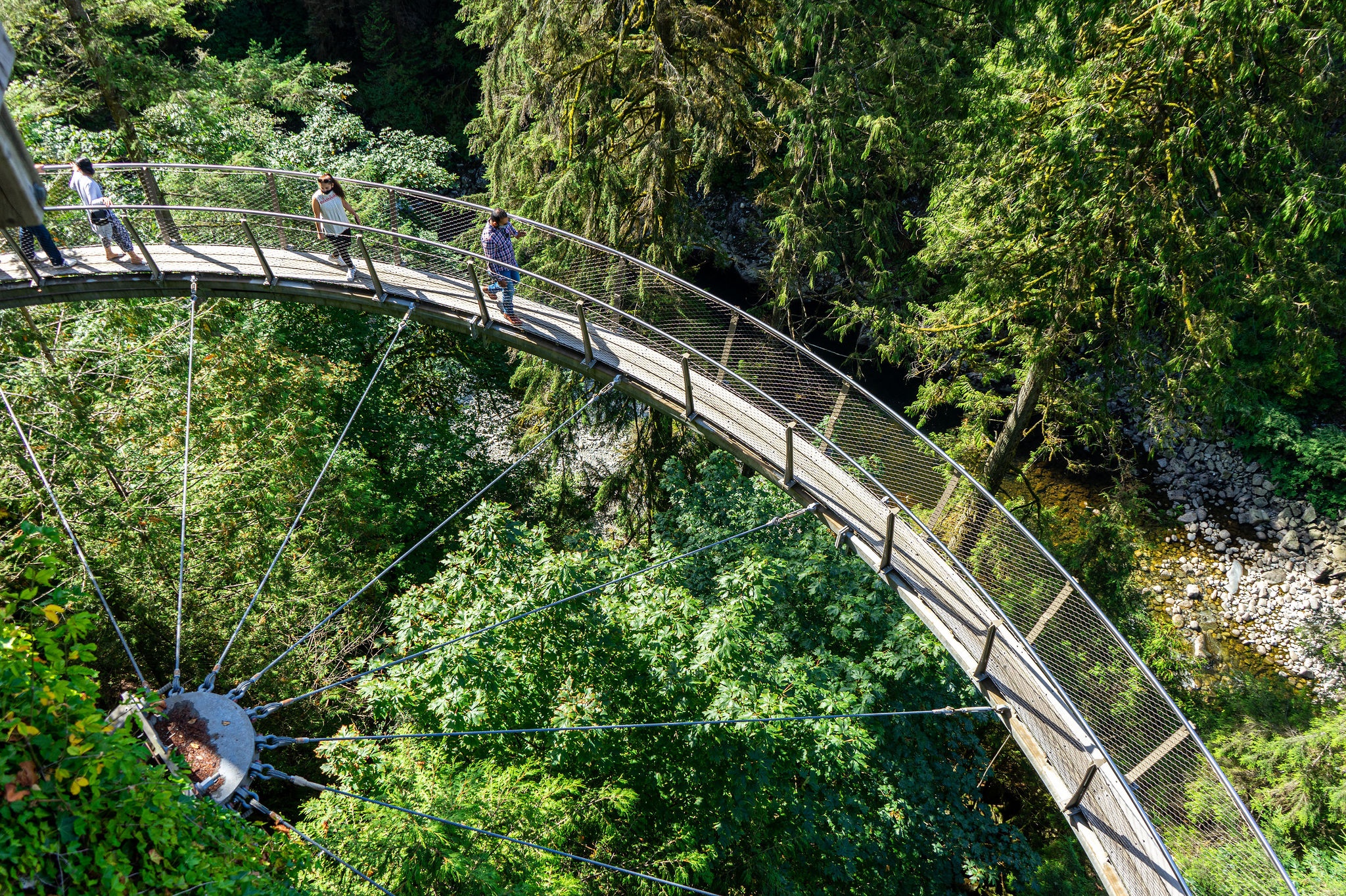 Capilano Suspension Bridge Wallpapers