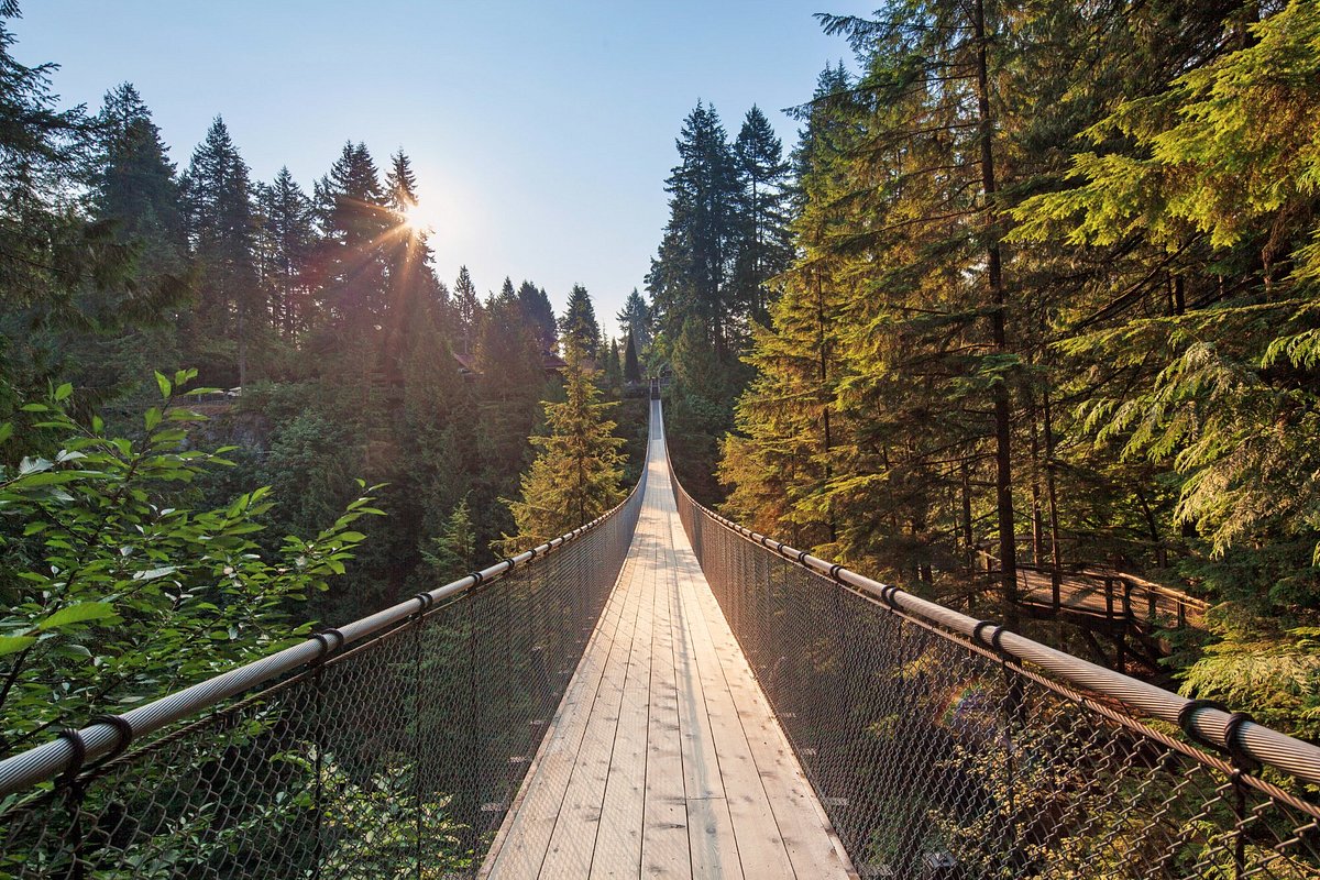 Capilano Suspension Bridge Wallpapers