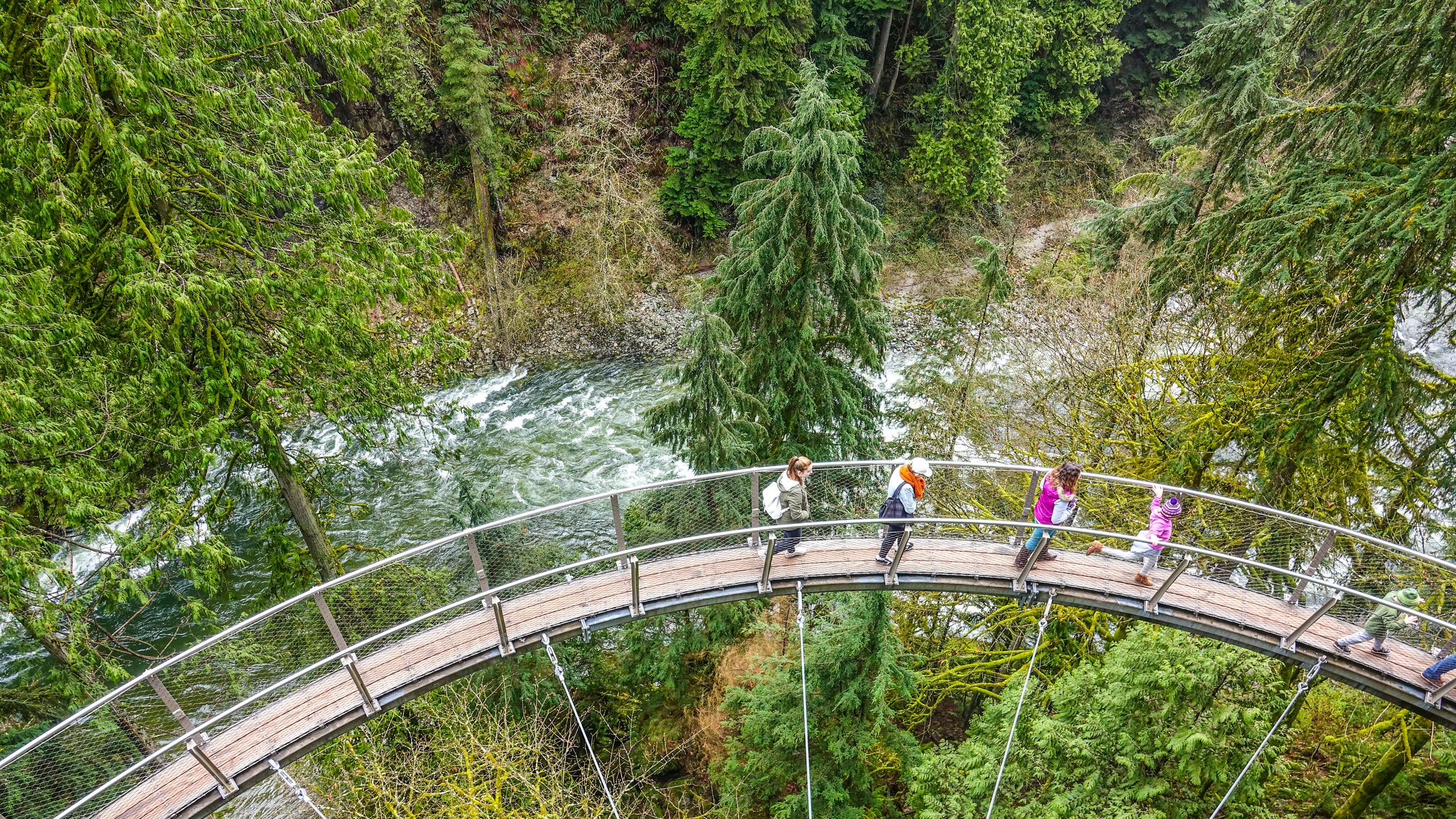 Capilano Suspension Bridge Wallpapers