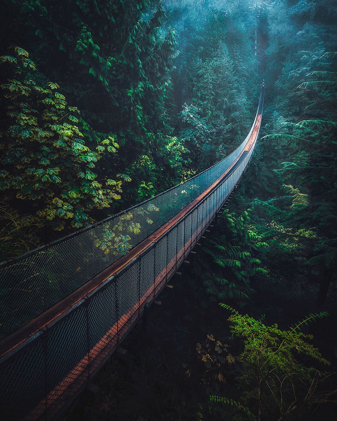 Capilano Suspension Bridge Wallpapers