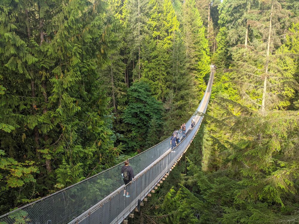 Capilano Suspension Bridge Wallpapers