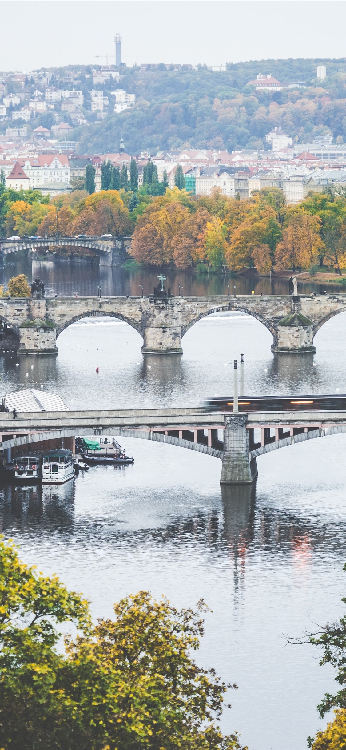 Charles Bridge Wallpapers