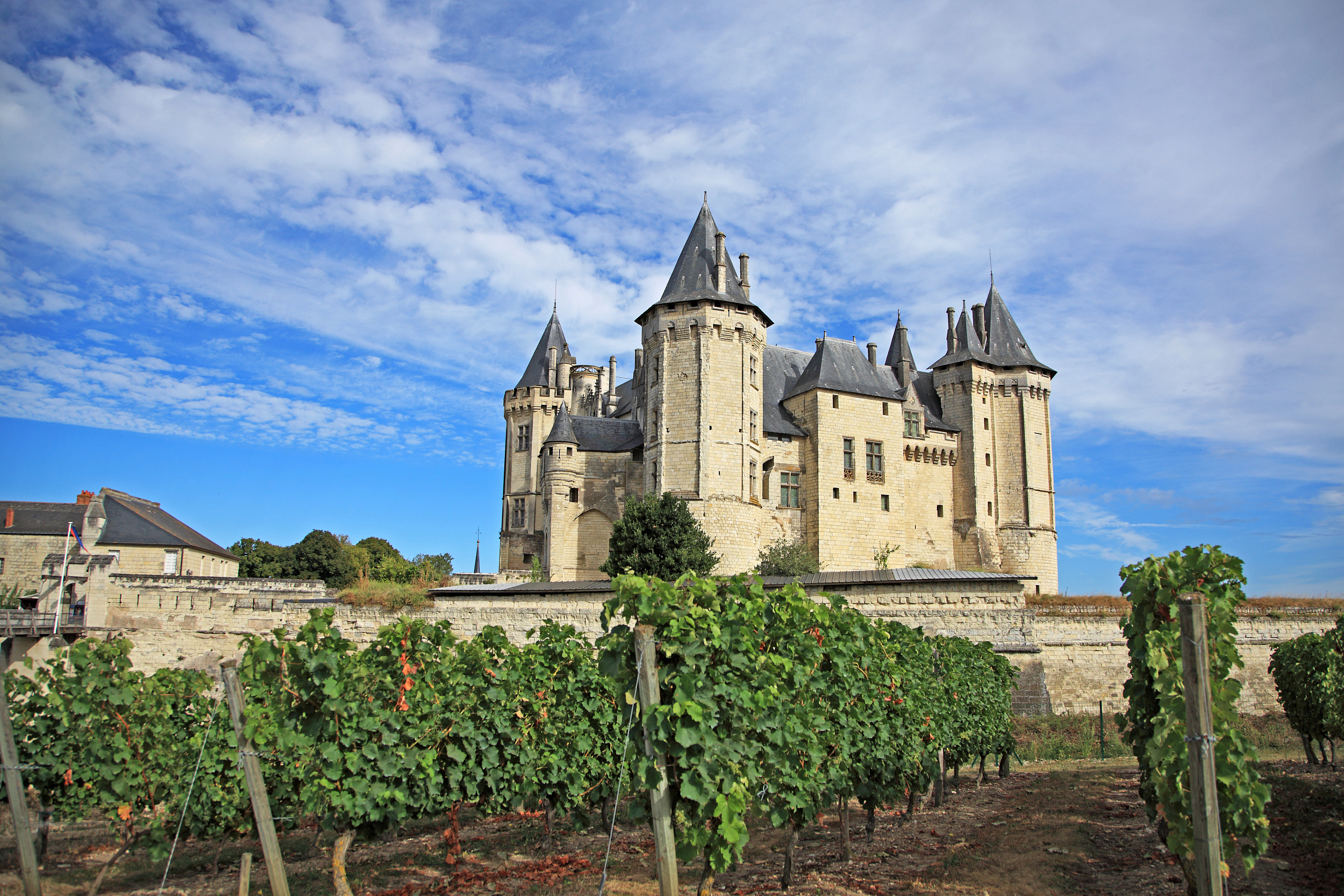 Chateau De Saumur Wallpapers