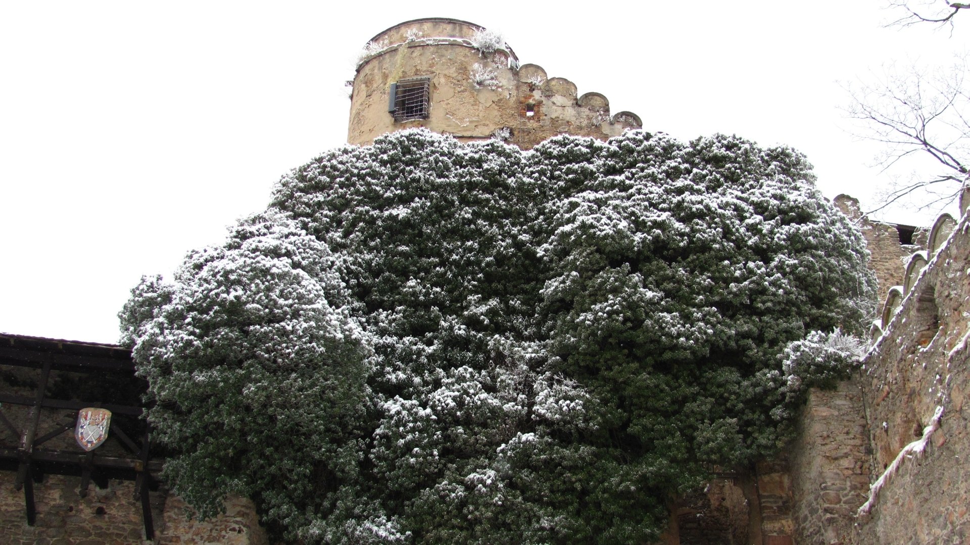 Chojnik Castle Wallpapers