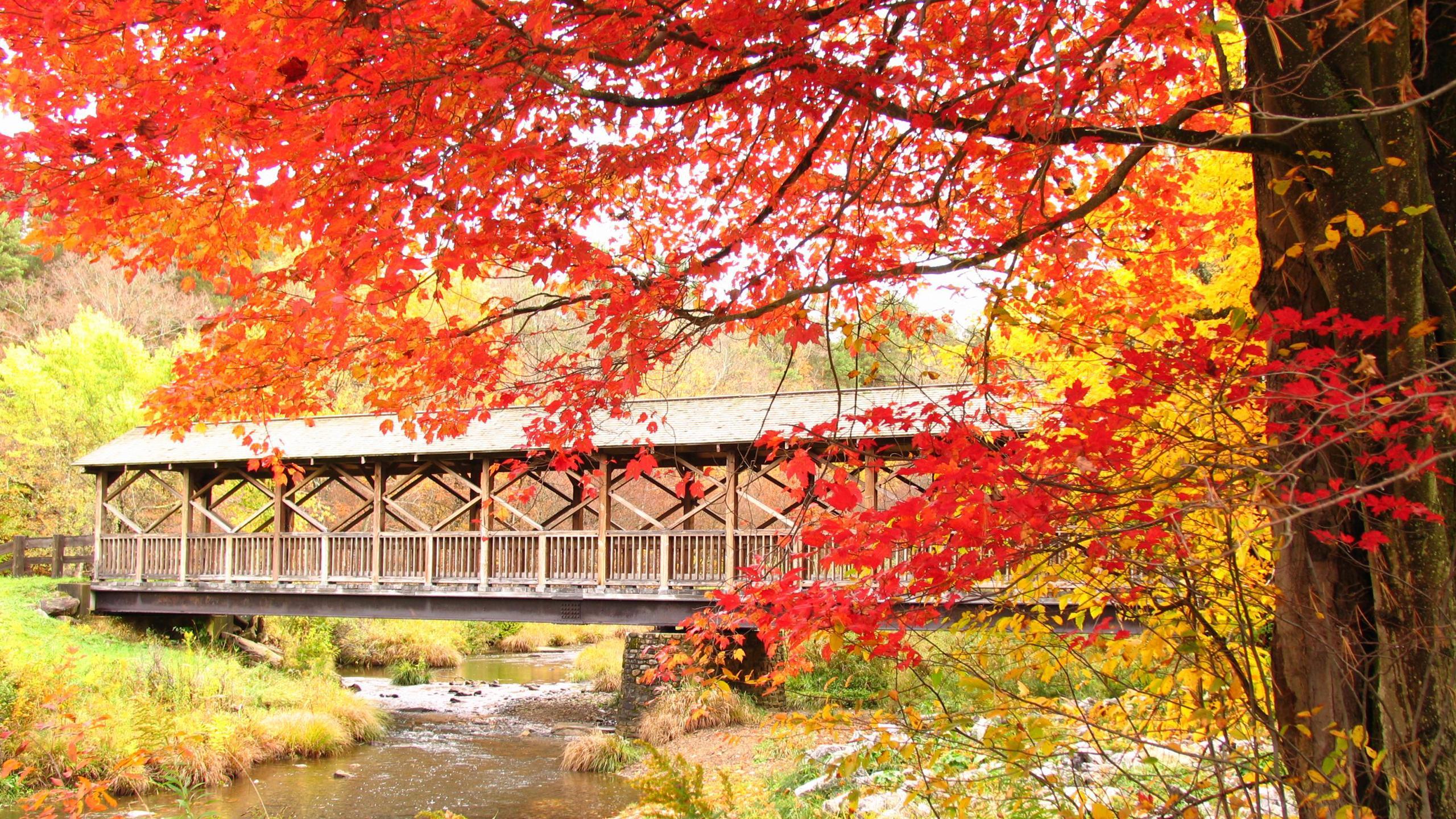 Covered Bridge Wallpapers