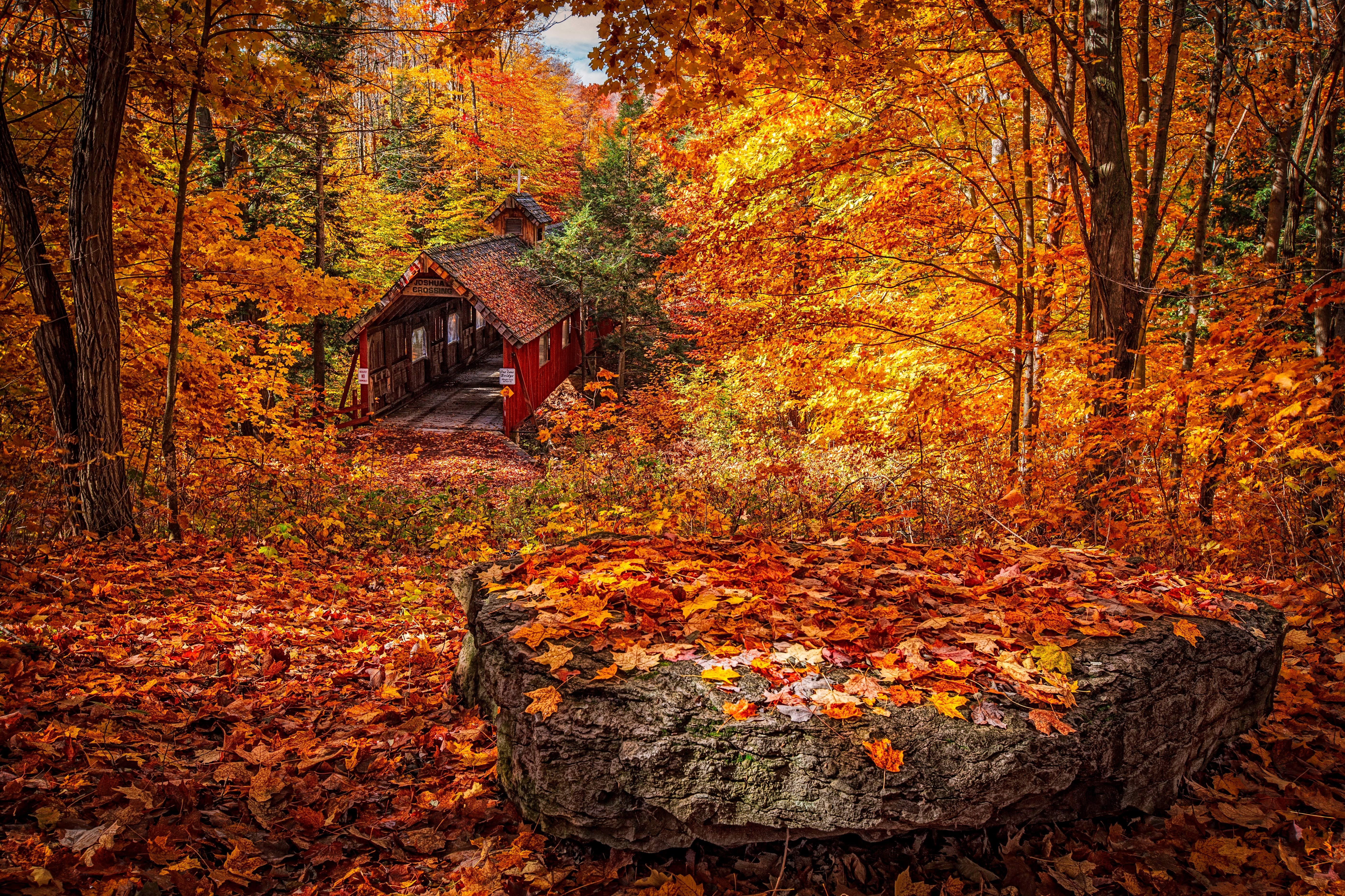 Covered Bridge Wallpapers