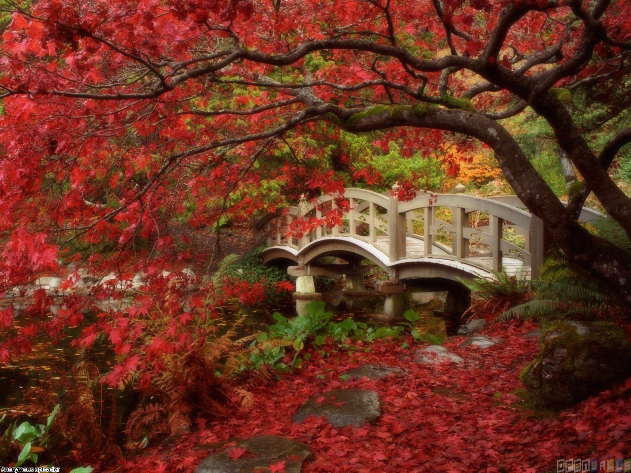 Covered Bridge Wallpapers