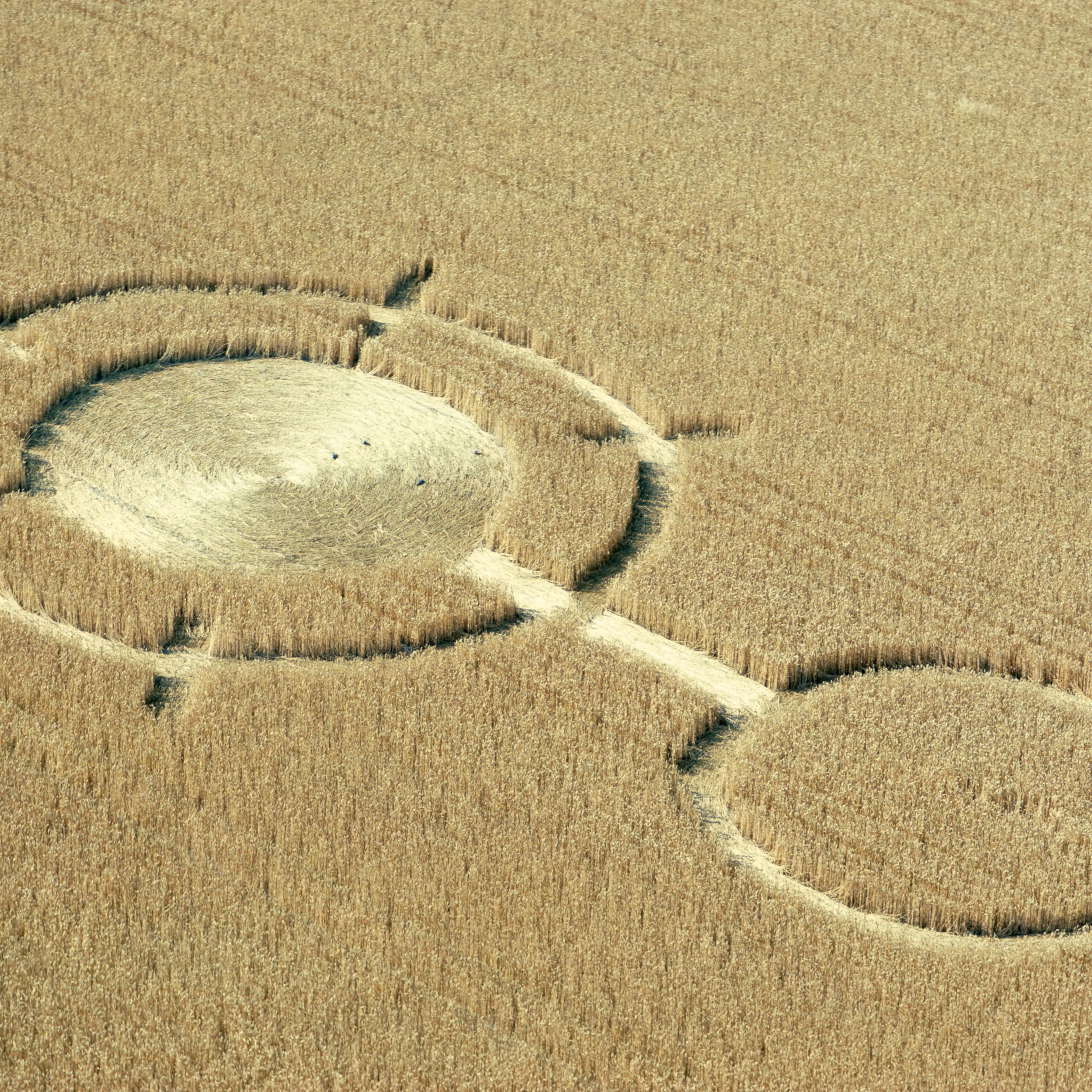 Crop Circles Wallpapers