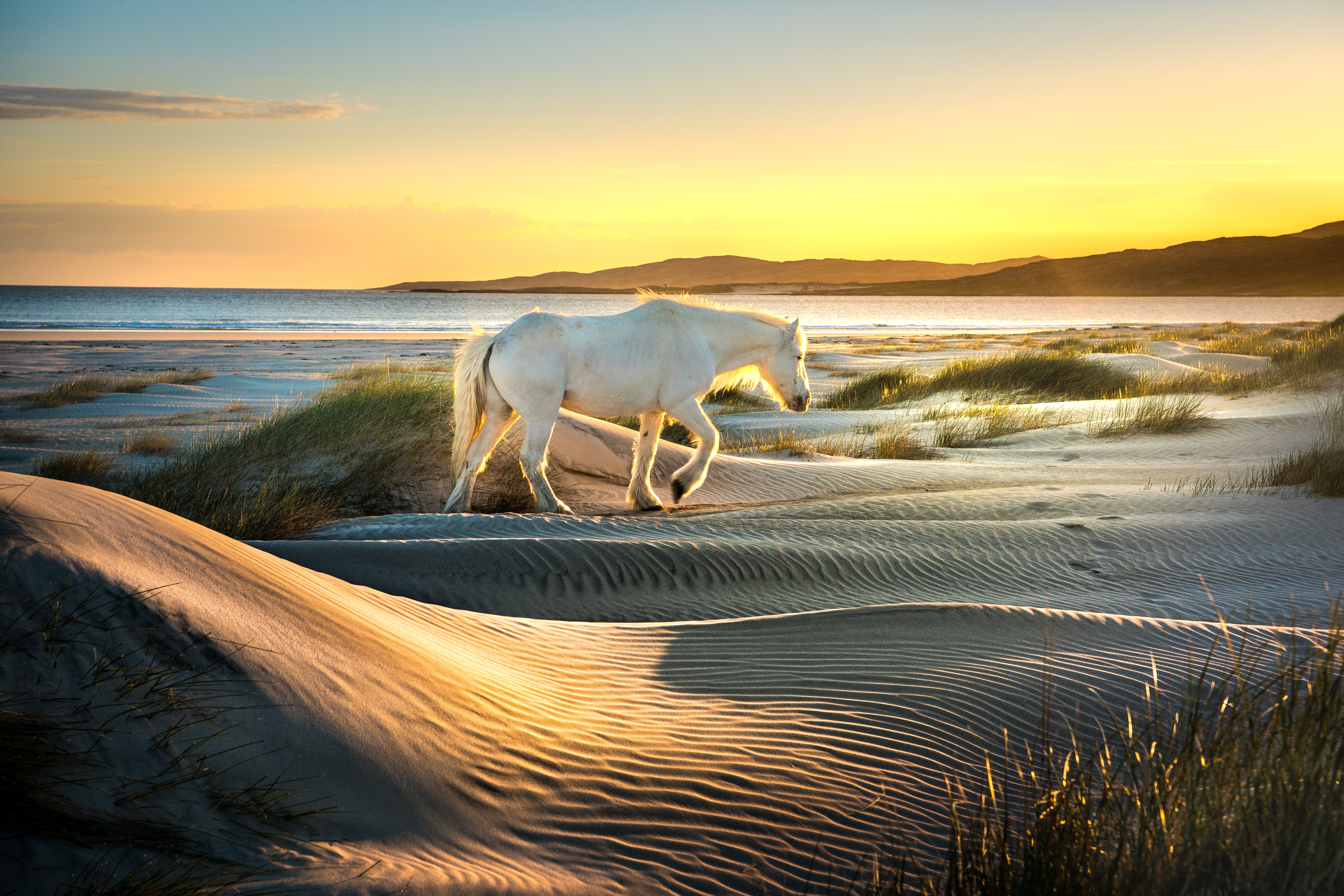 Dawlish Warren Spit 4K Uk Wallpapers