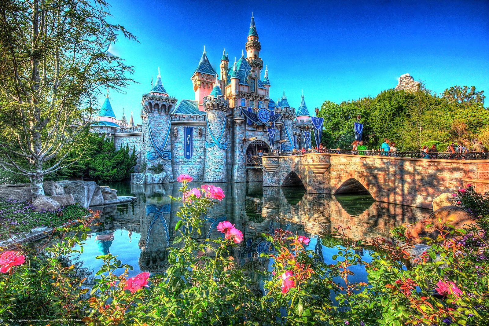 Disneyland Park Wallpapers
