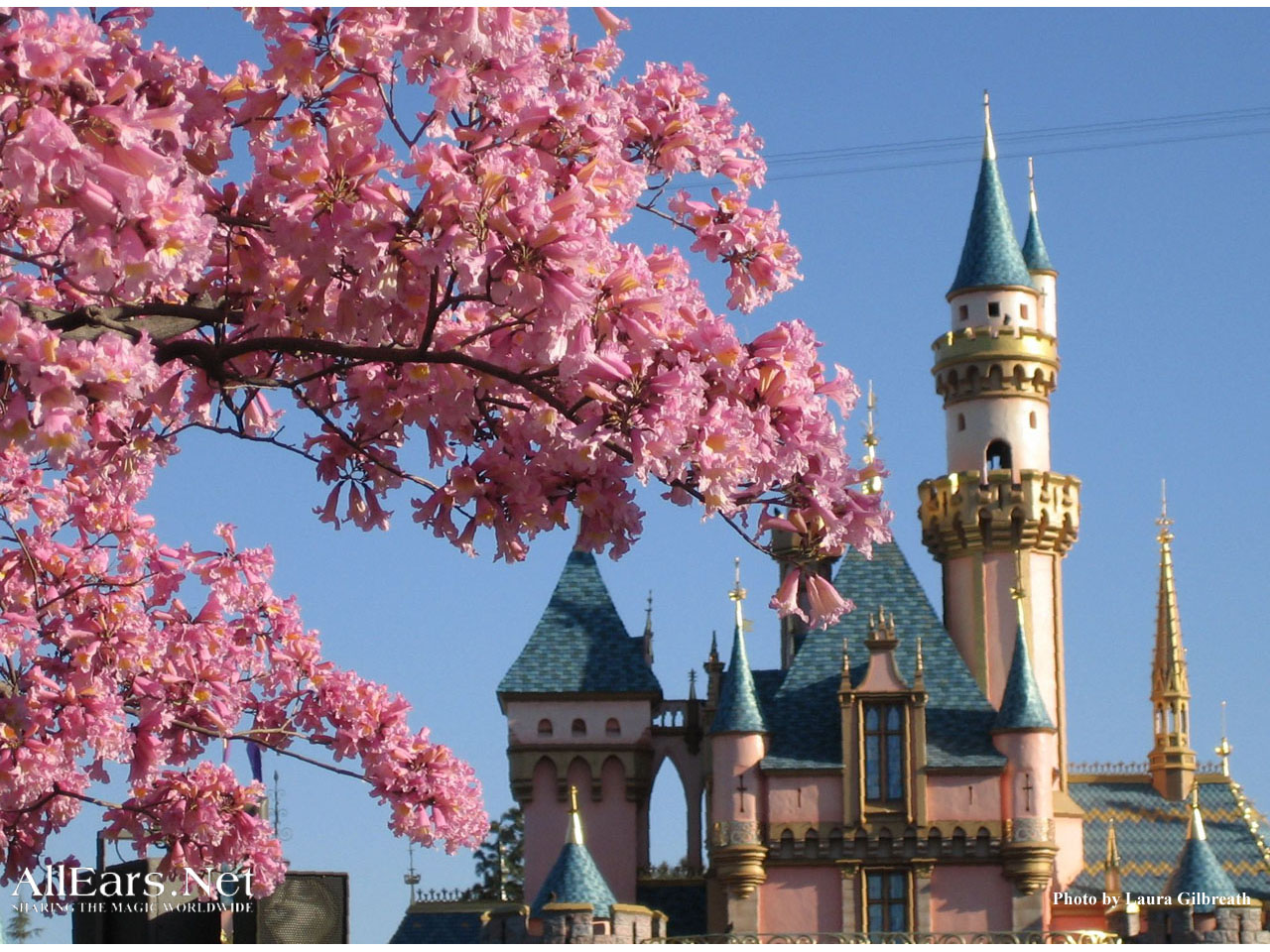 Disneyland Park Wallpapers