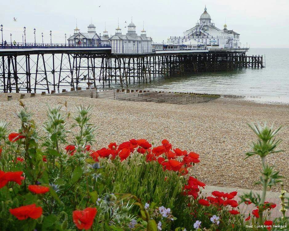 Eastbourne Pier Wallpapers