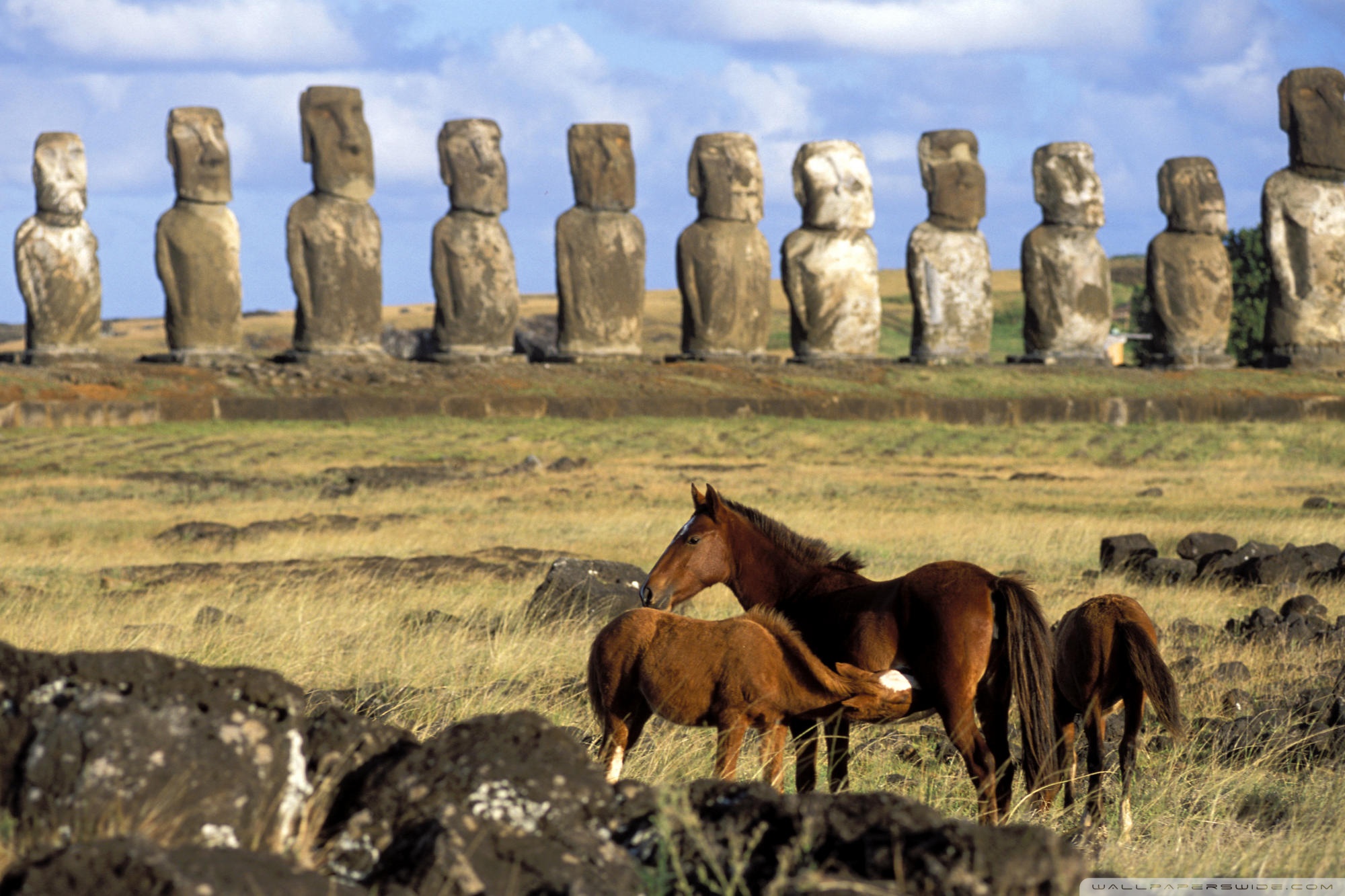 Easter Island Wallpapers