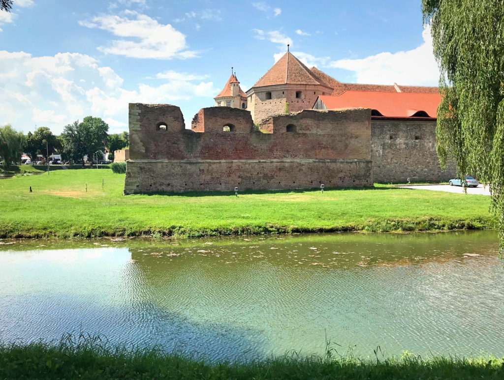 Fagaras Fortress Wallpapers