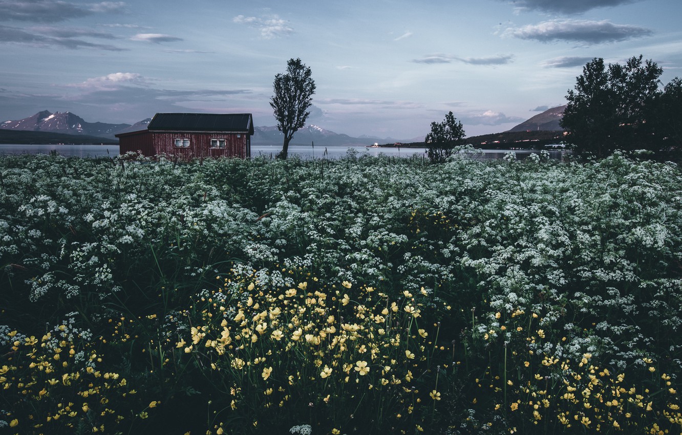 Field House In Norway Wallpapers