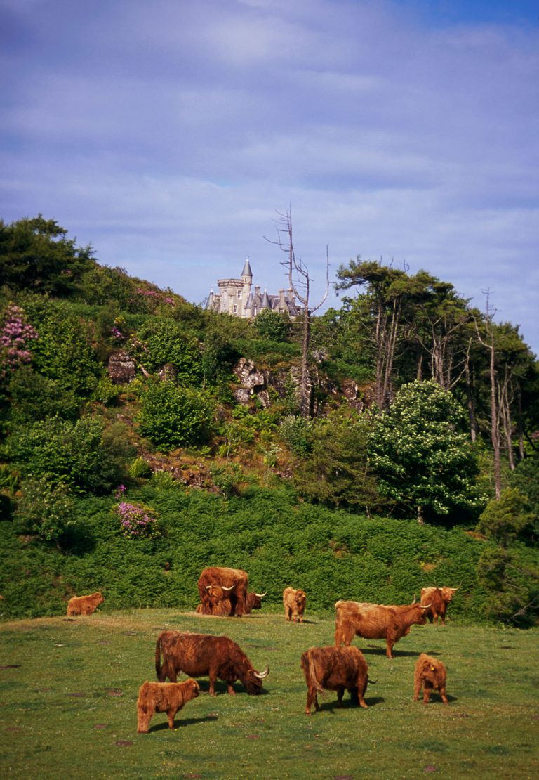 Glengorm Castle Wallpapers