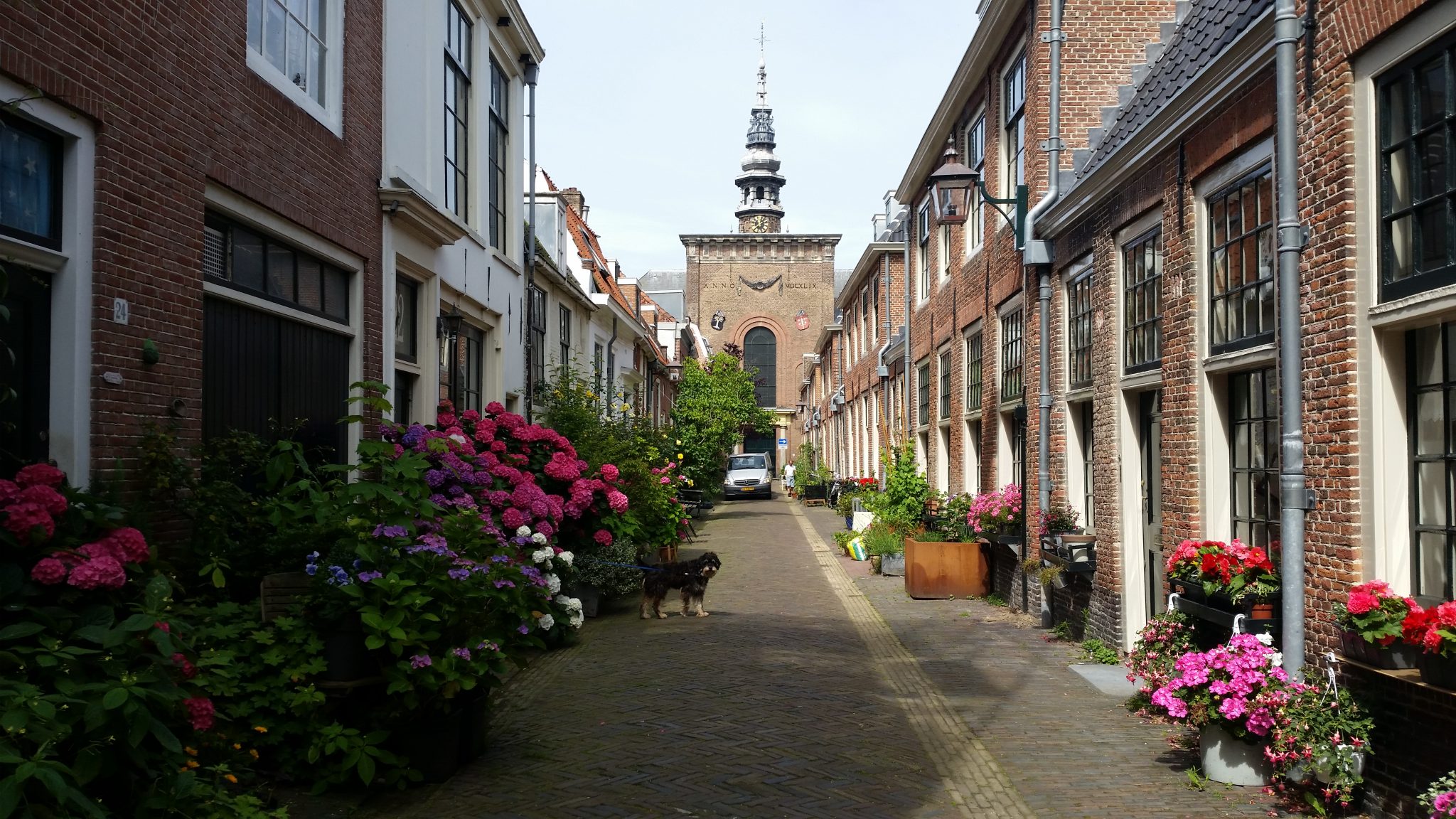 Haarlem Wallpapers