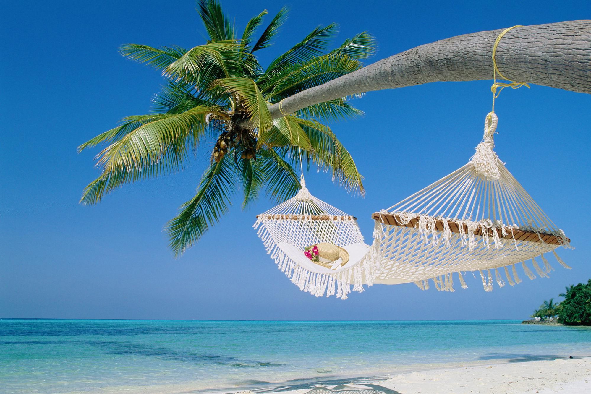 Hammock Wallpapers