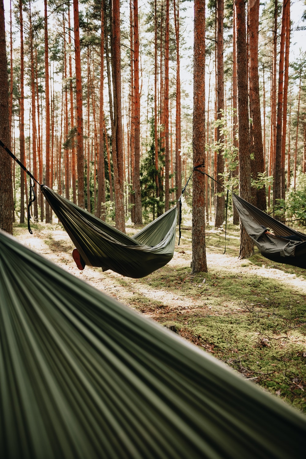 Hammock Wallpapers