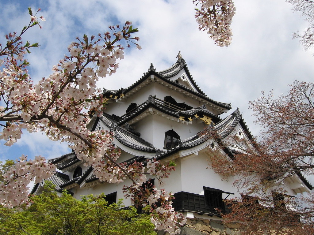 Hikone Castle Wallpapers