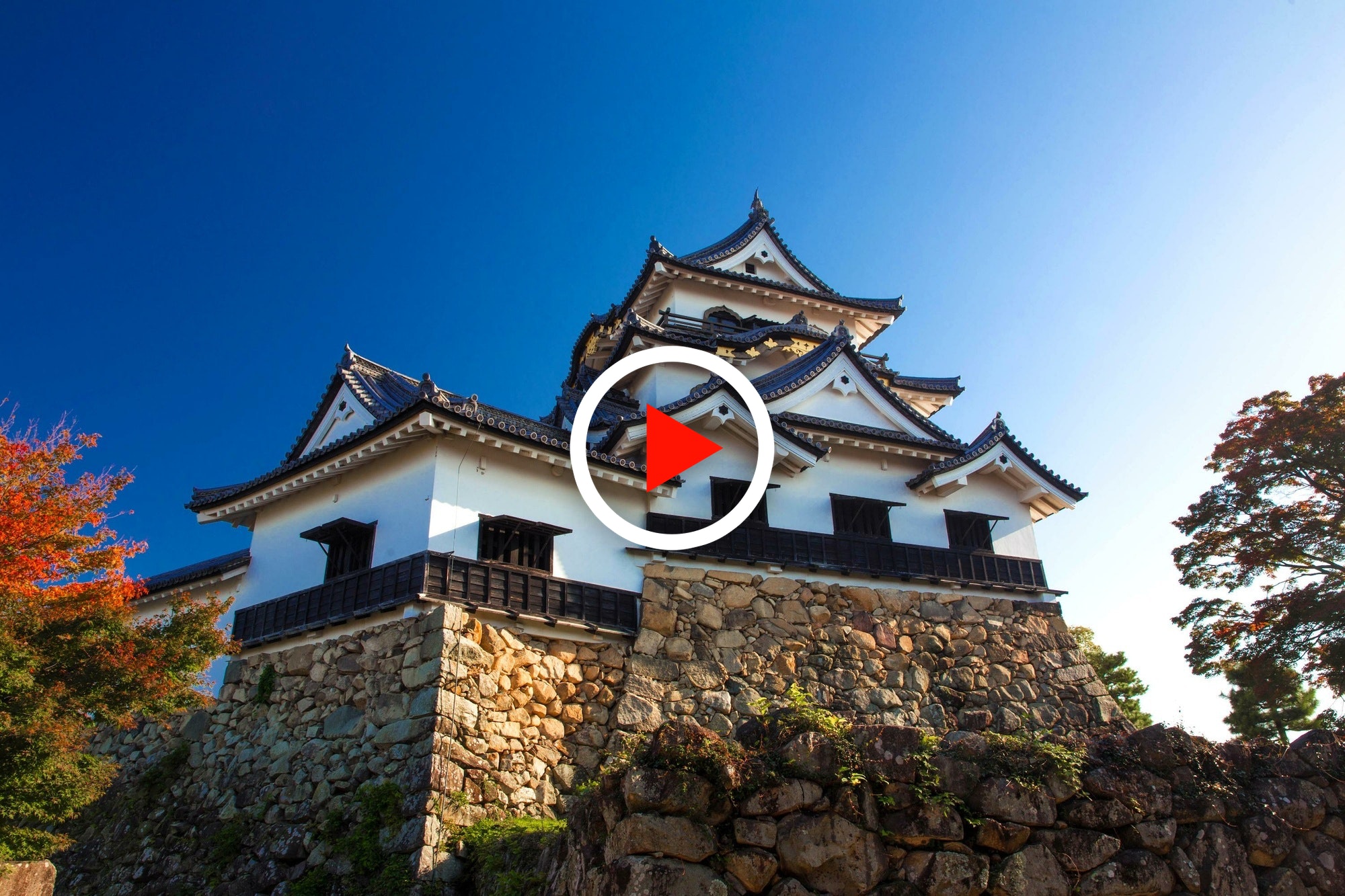 Hikone Castle Wallpapers