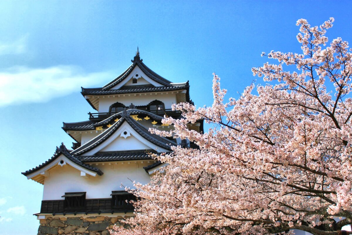 Hikone Castle Wallpapers