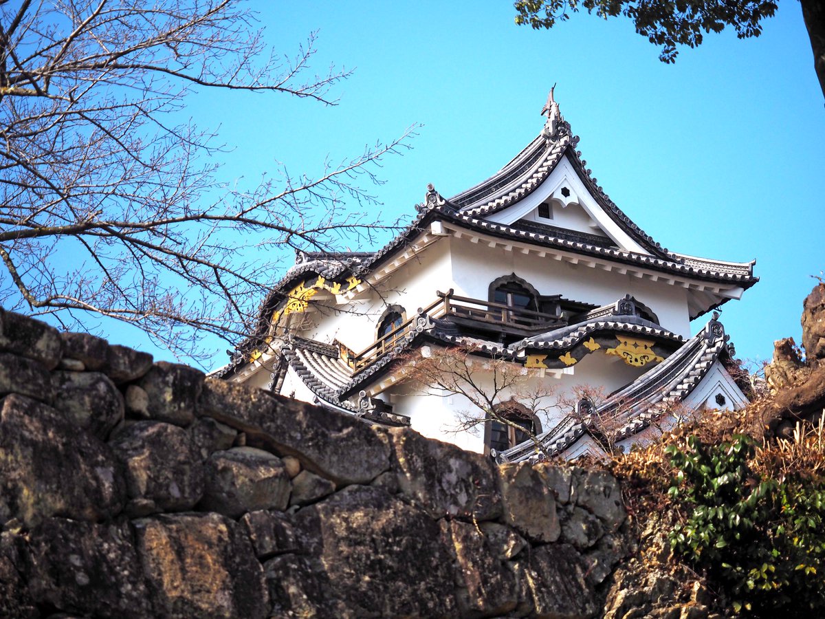 Hikone Castle Wallpapers