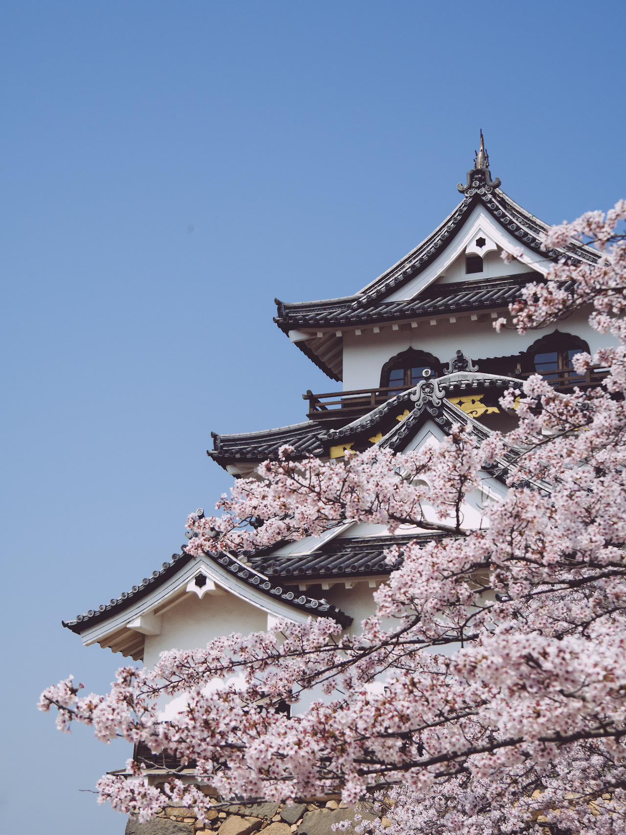 Hikone Castle Wallpapers