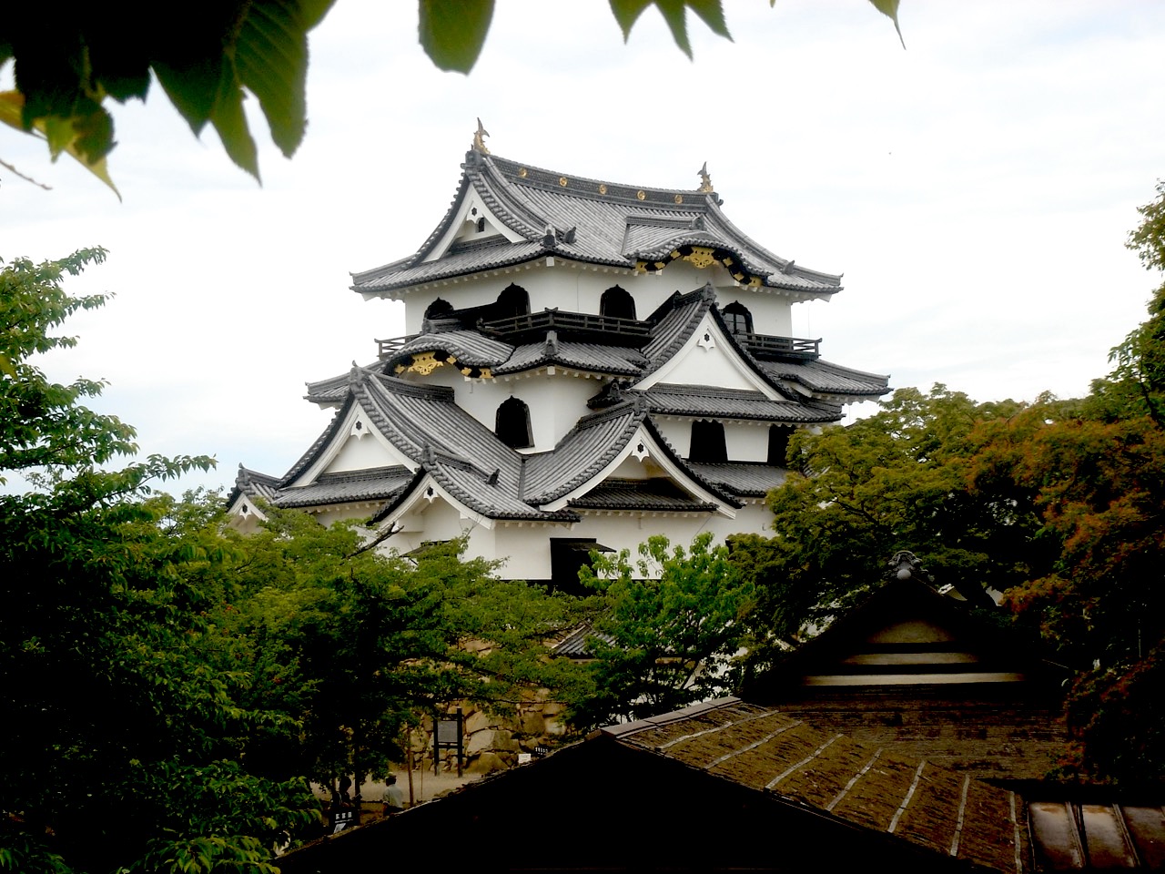 Hikone Castle Wallpapers