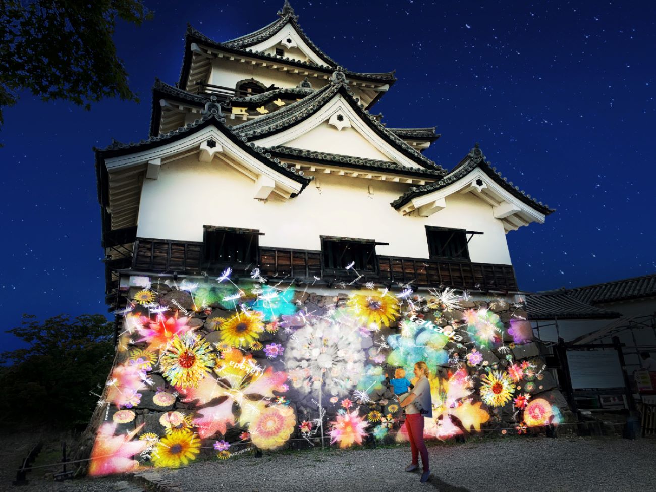 Hikone Castle Wallpapers