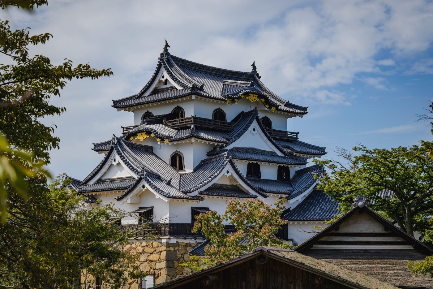 Hikone Castle Wallpapers