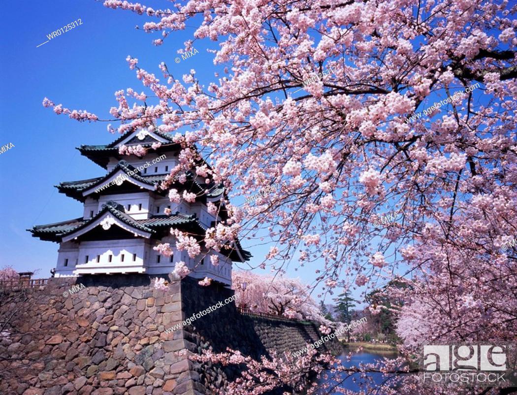 Hirosaki Castle Wallpapers