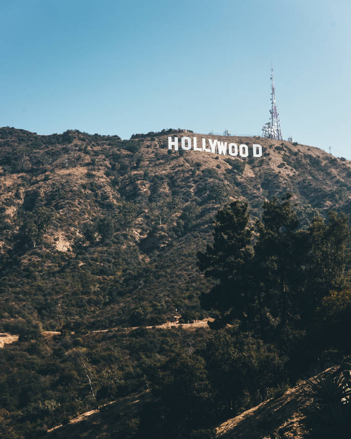 Hollywood Sign Wallpapers