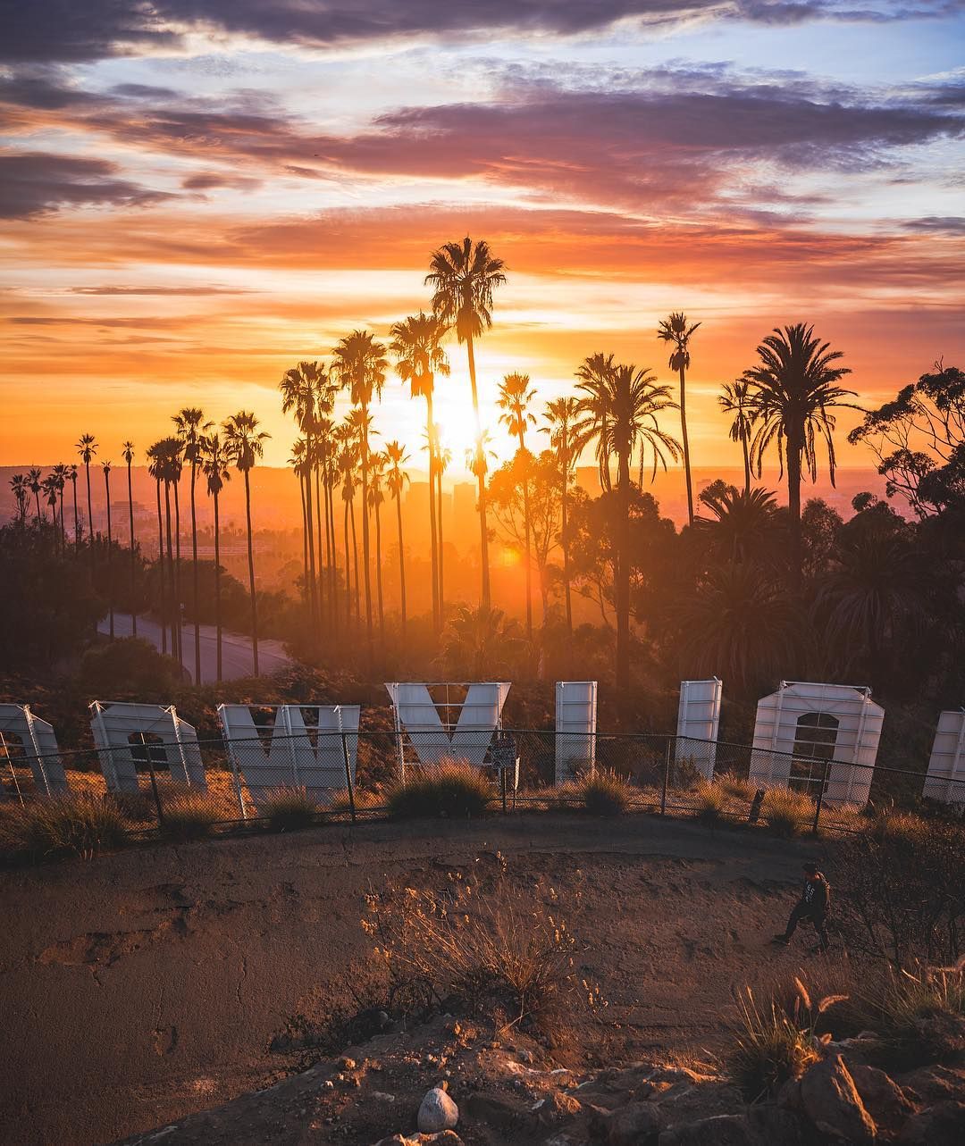 Hollywood Sign Wallpapers