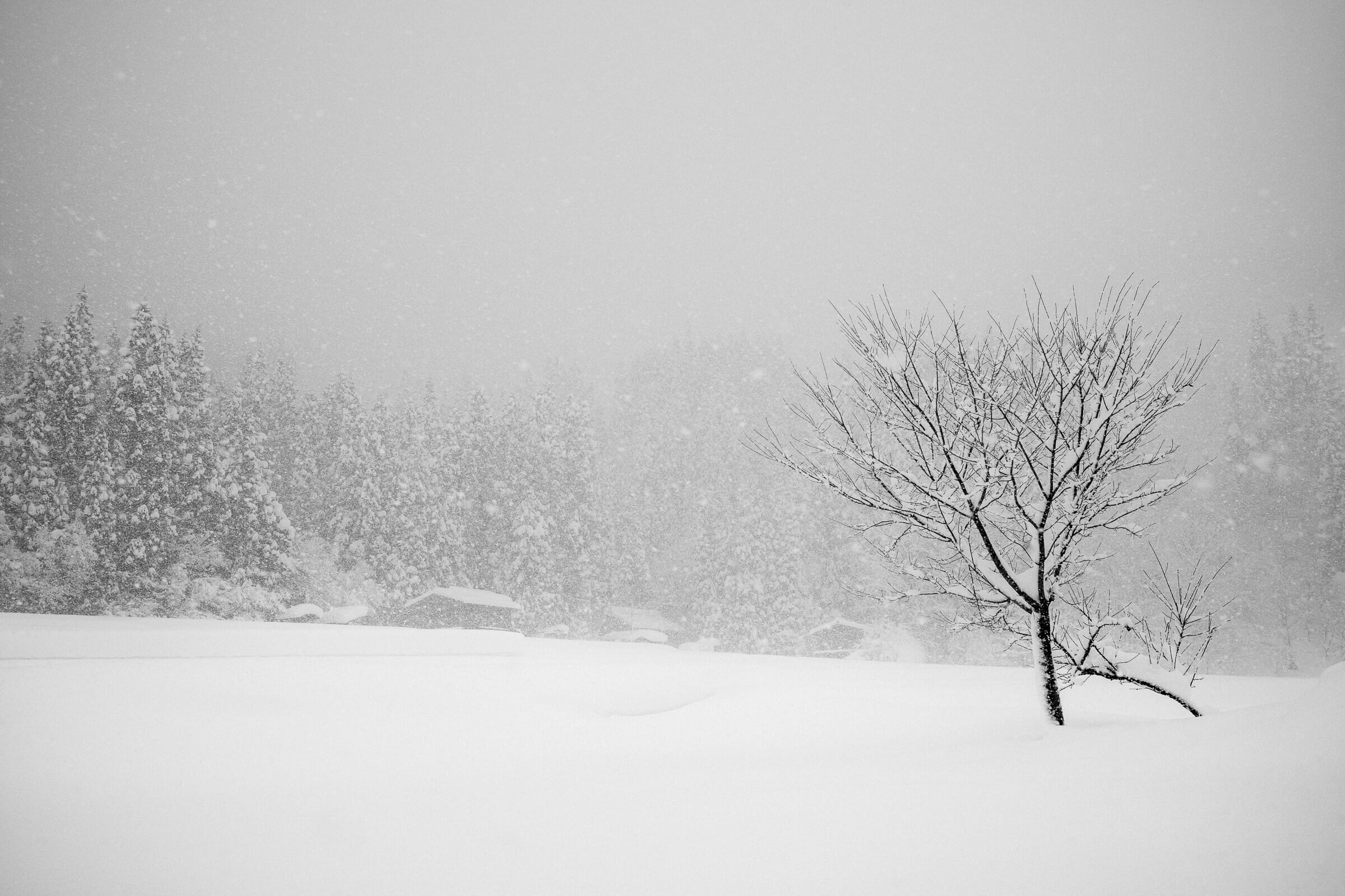 Japan Village Covered In Winter Snow Wallpapers