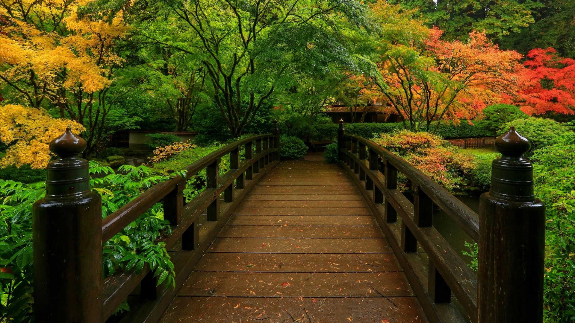 Japanese Garden Wallpapers