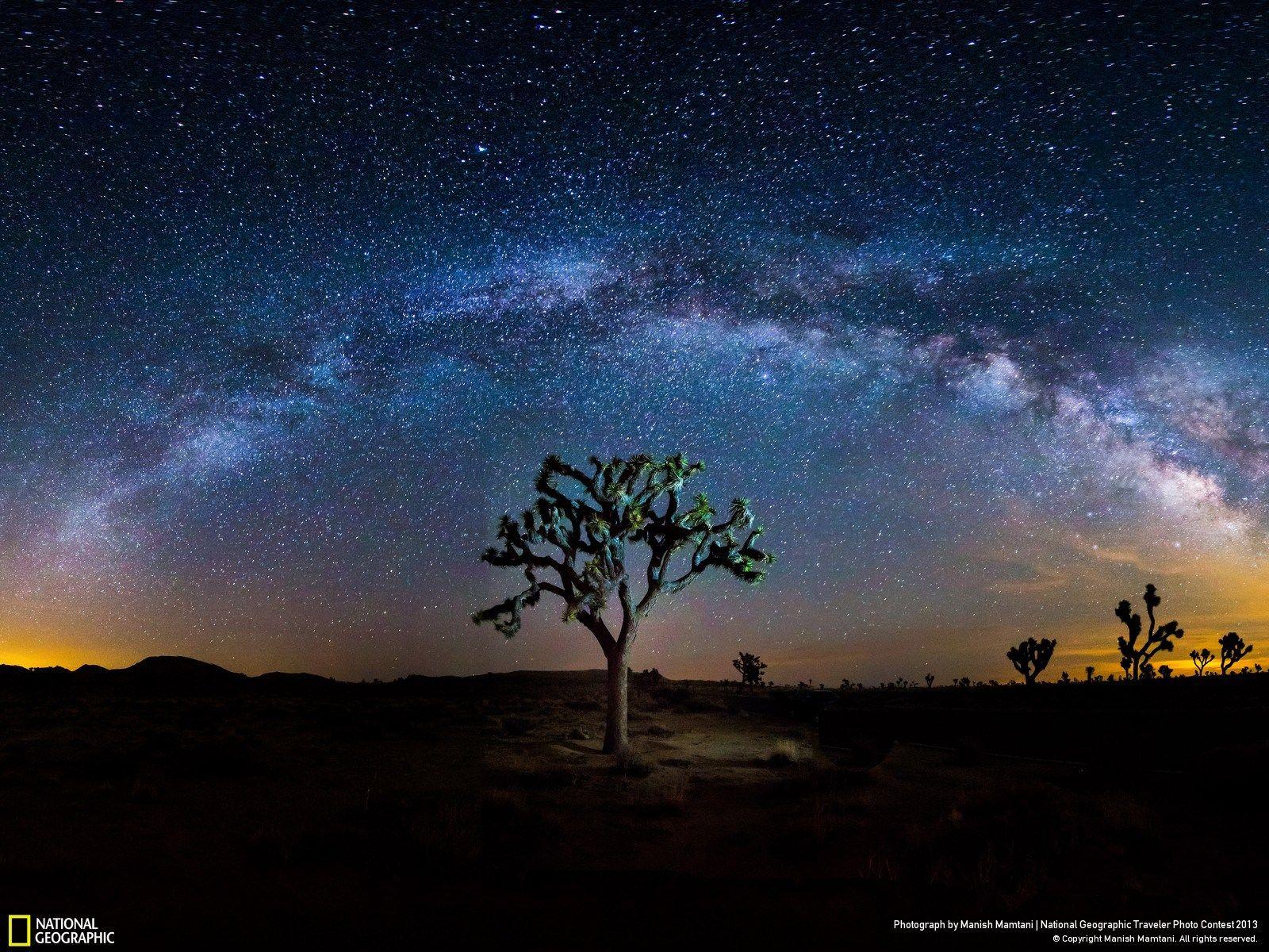 Joshua Tree National Park Evening Wallpapers