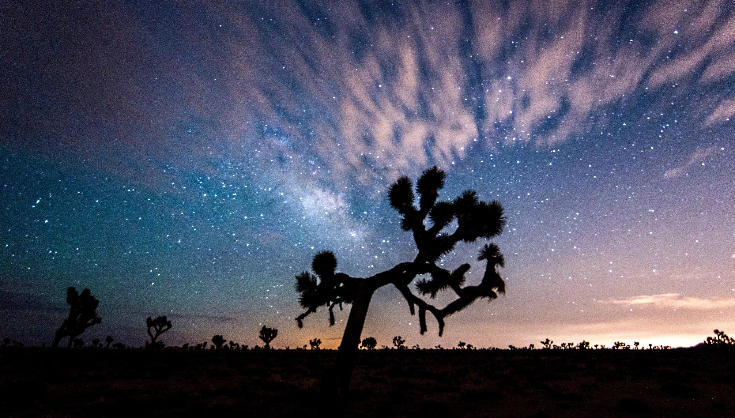 Joshua Tree National Park Evening Wallpapers