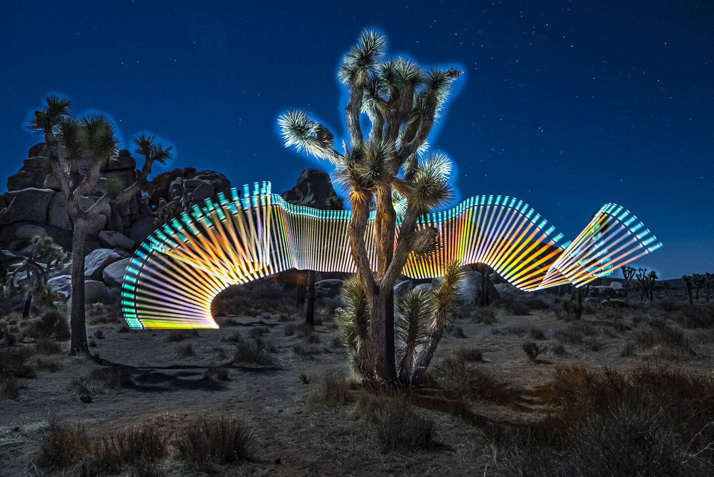 Joshua Tree National Park Evening Wallpapers