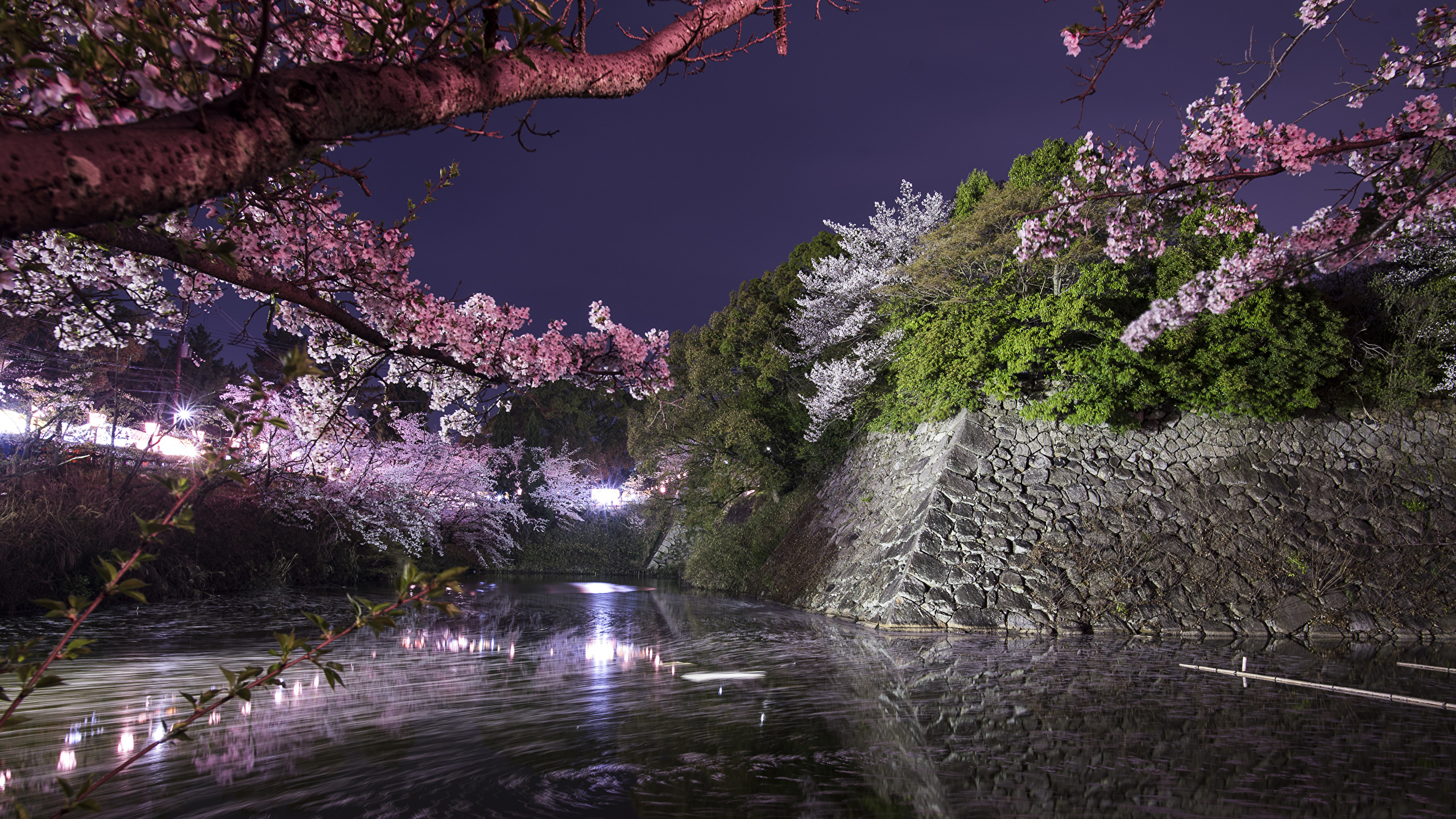 Koriyama Castle Wallpapers