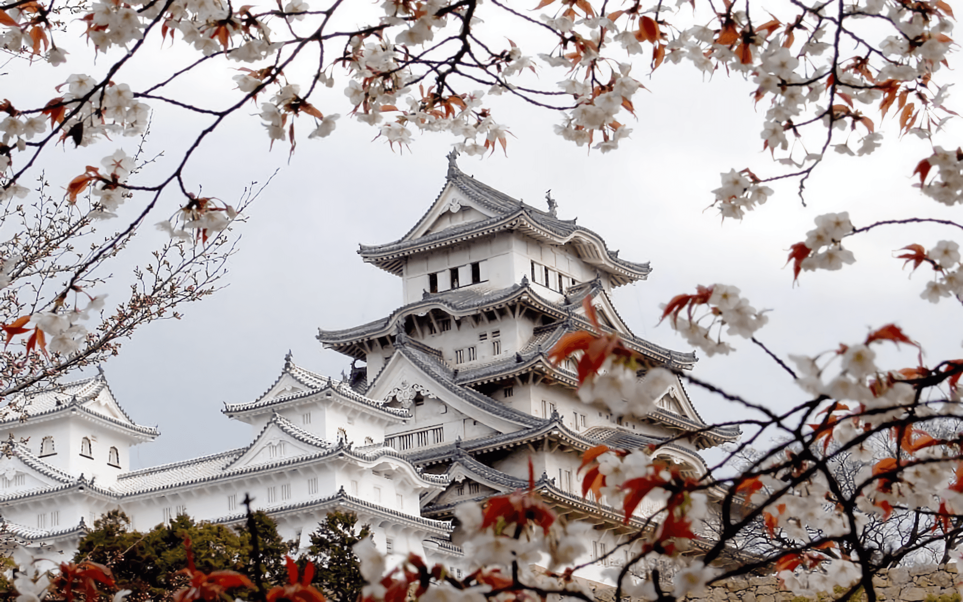 Koriyama Castle Wallpapers