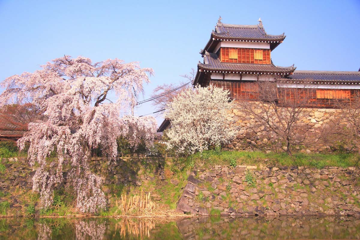 Koriyama Castle Wallpapers