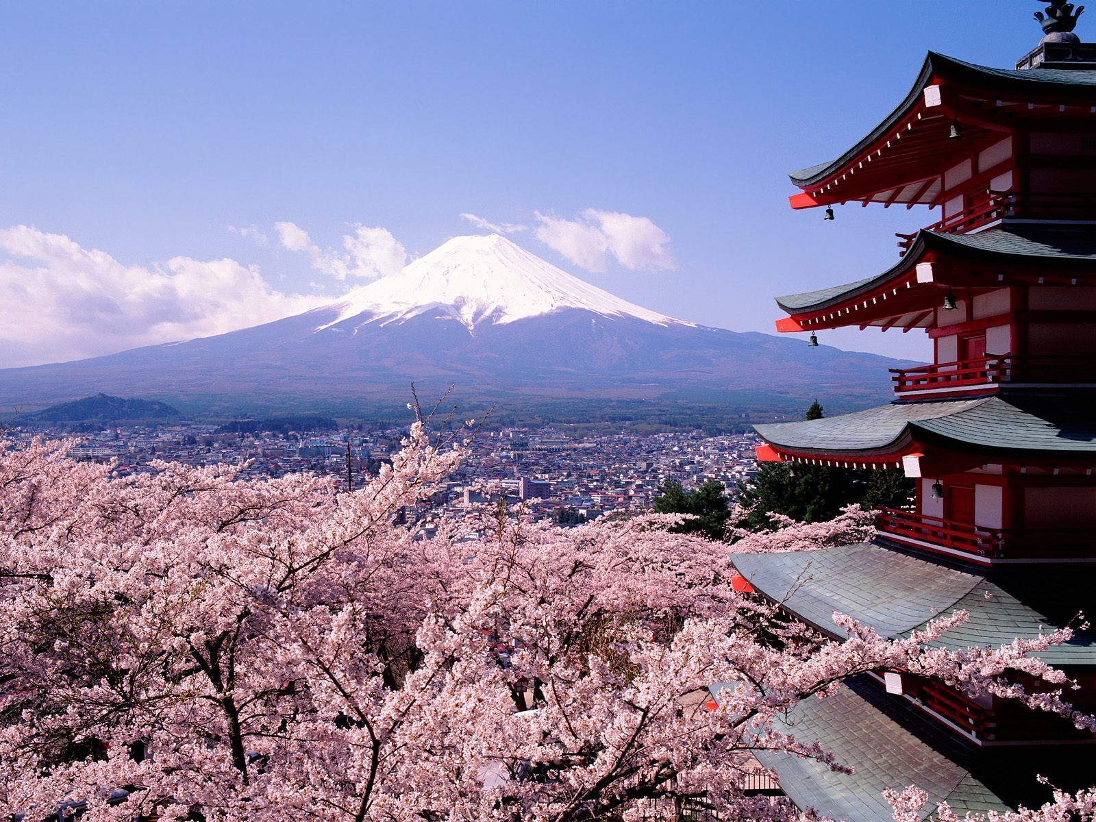 Koriyama Castle Wallpapers