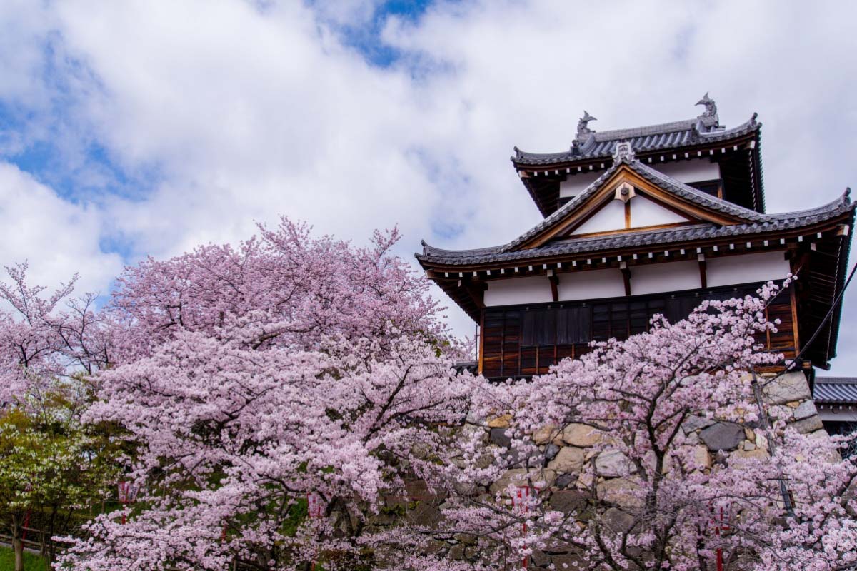 Koriyama Castle Wallpapers