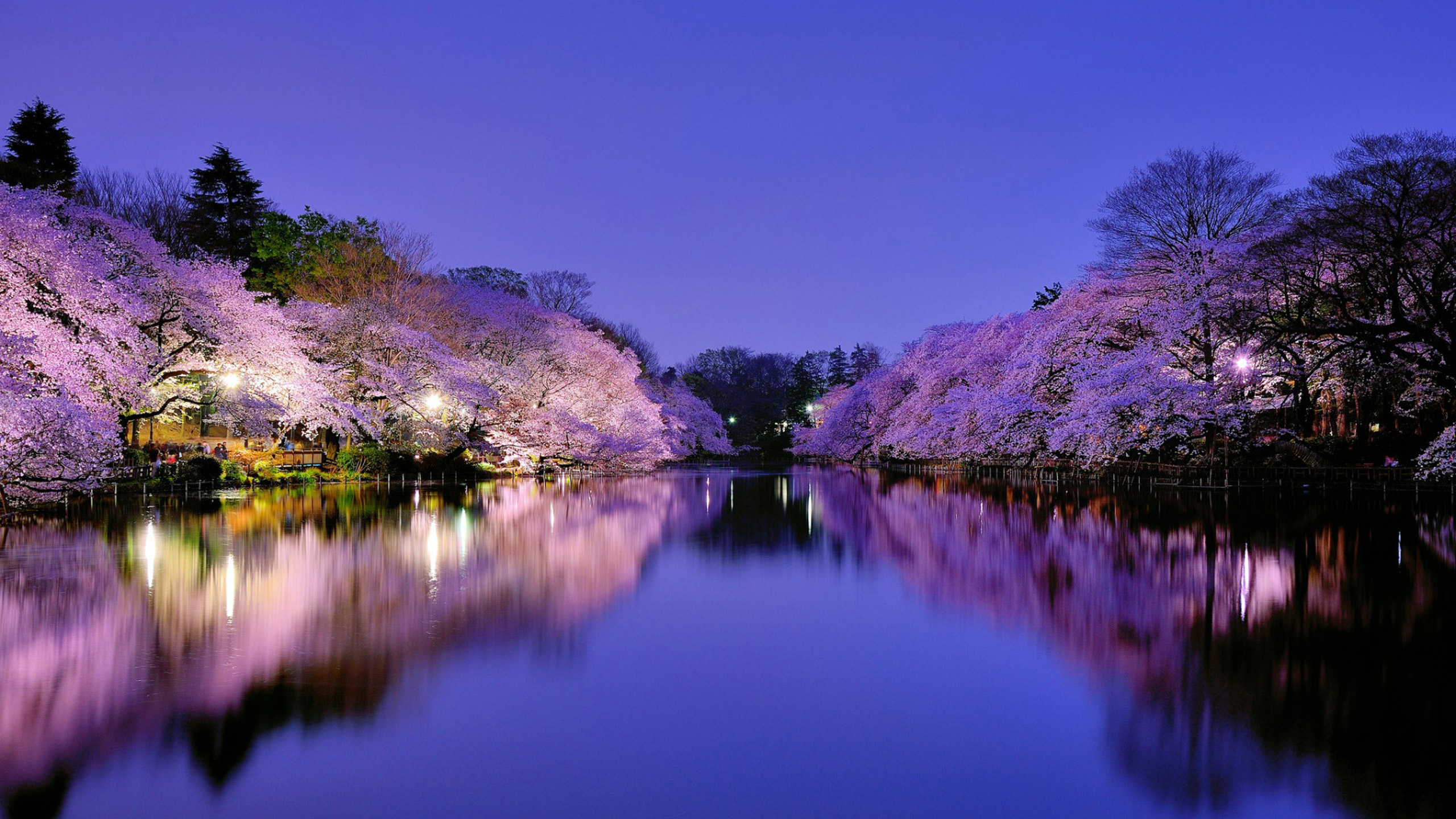 Koriyama Castle Wallpapers