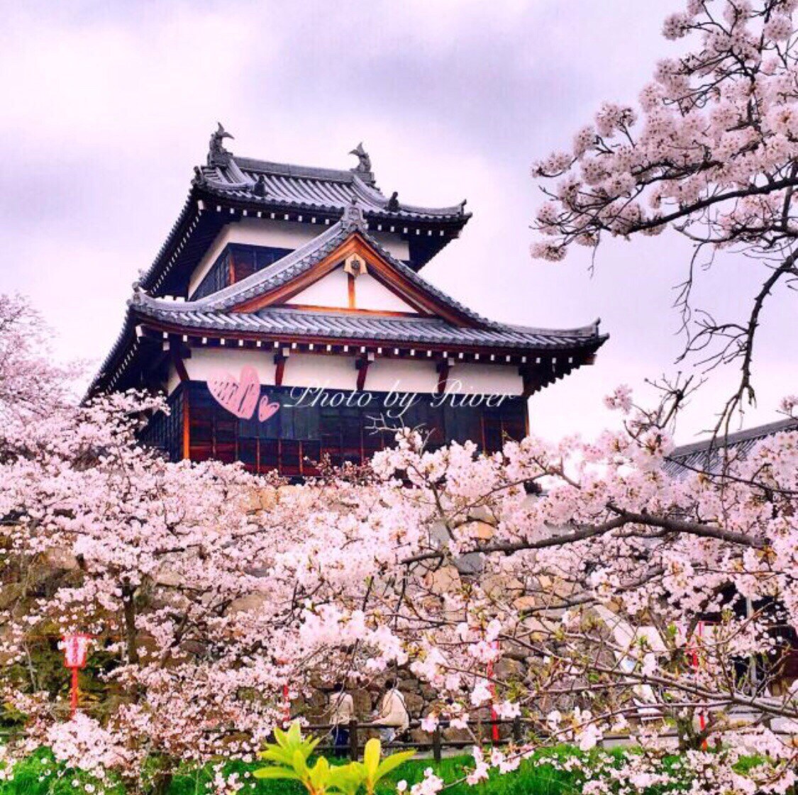 Koriyama Castle Wallpapers