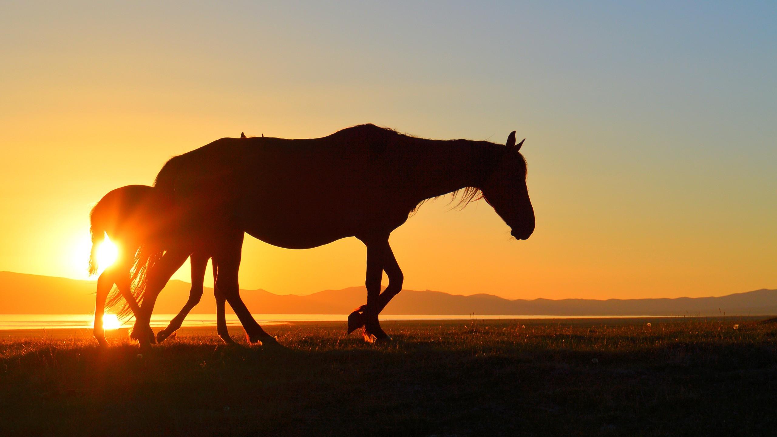 Kyrgyzstan Wallpapers