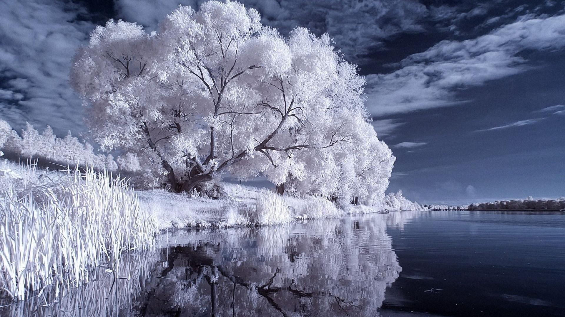 La Cityscape In Infrared Wallpapers